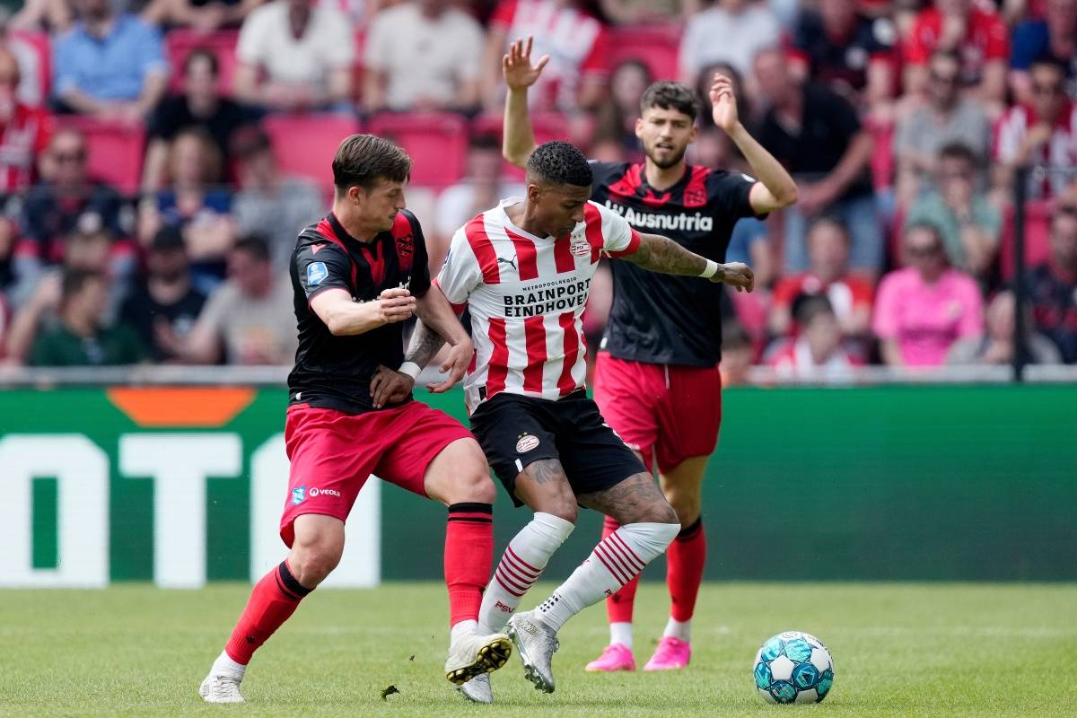 的职业生涯 的职业生涯